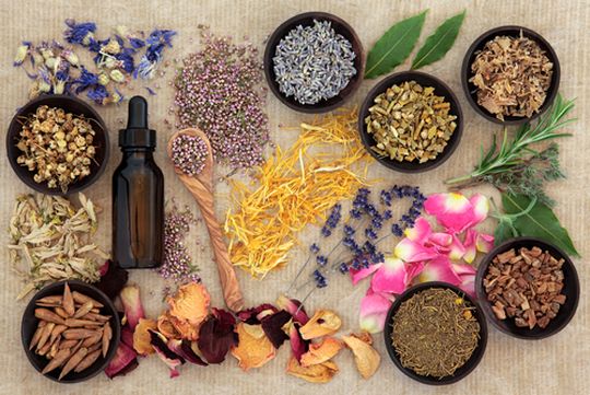 substances-vegetales substances-vegetales