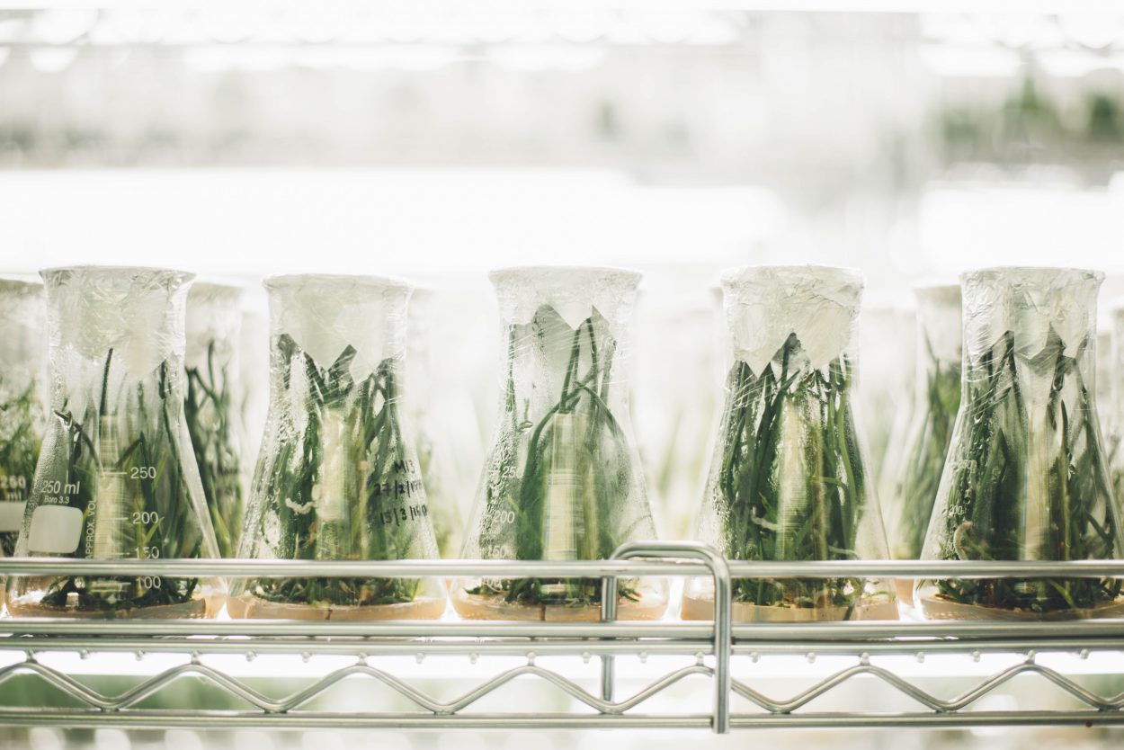 phytopharmacie phytopharmacie
