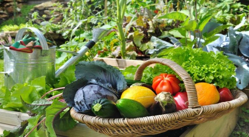 CircuitsCourtsAgro-06062019
