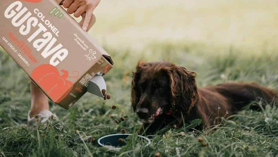 Les croquettes pour chien de Colonel Gustave