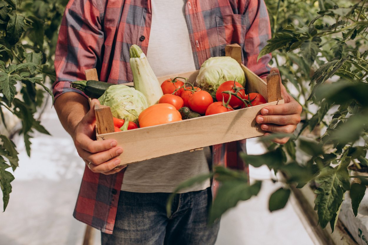 farmer-greenhouse-holding-box-vegetables