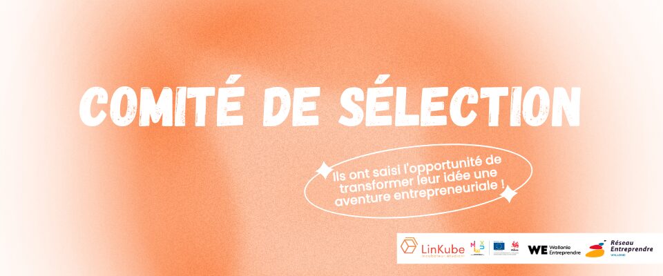 comité de sélection linkube namur etudiant comité de sélection linkube namur etudiant